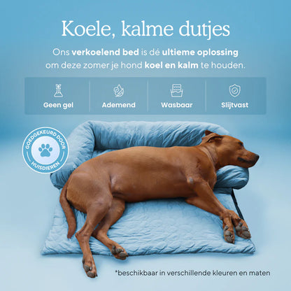 LUNAVO® – Kühlkomfort für moderne Haustiere