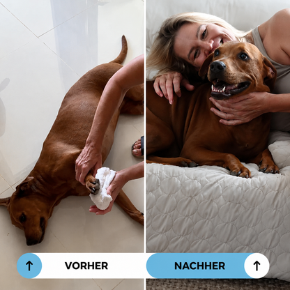 LUNAVO® – Kühlkomfort für moderne Haustiere（upsell）