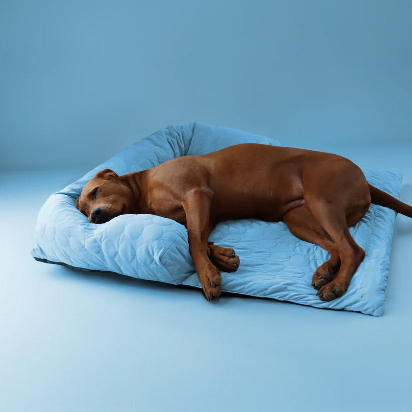 LUNAVO® – Kühlkomfort für moderne Haustiere